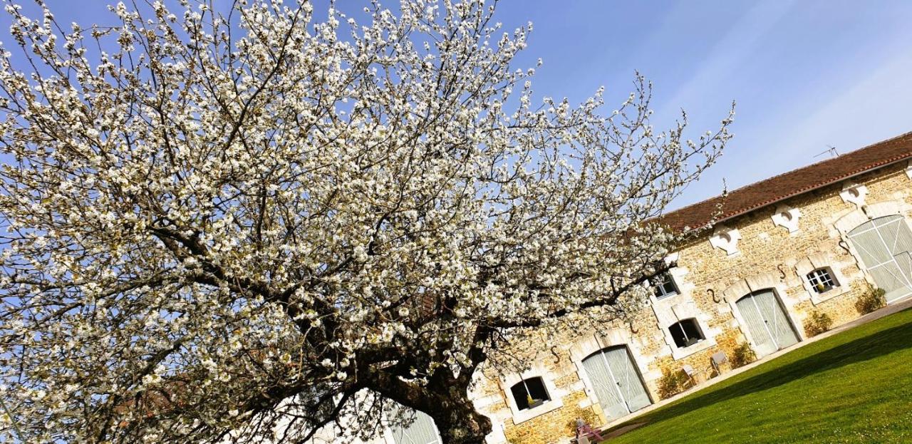 Les Quintanes Bed & Breakfast Suaux Dış mekan fotoğraf